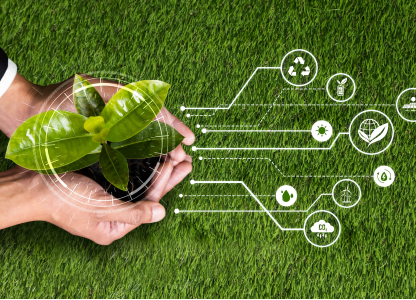 Eco-Friendly Practices in Textile Production