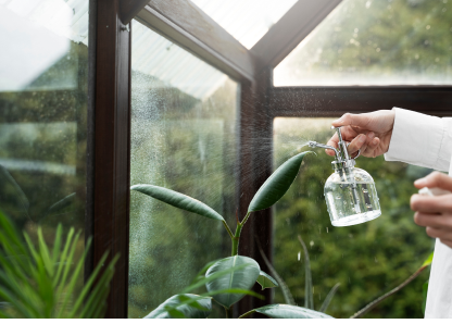 give water to plant